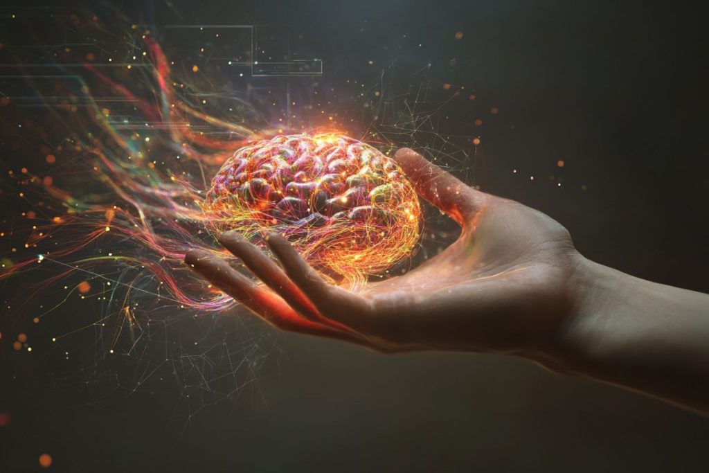 Smegenų puvėsis (Brain Rot): kodėl jūsų dėmesio laukas traukiasi? 3. 2-asis akcentas: Jūsų dėmesys yra produktas